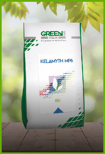 gallery-card